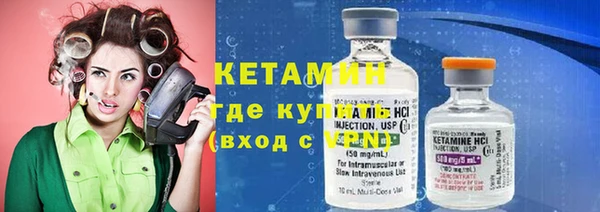 прущие грибы Вяземский