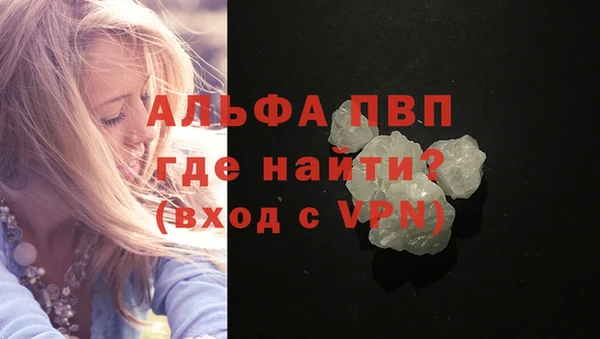 PSILOCYBIN Вязники