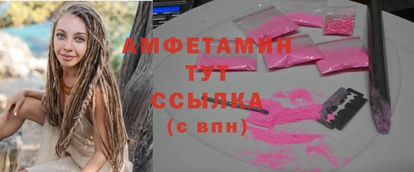 прущие грибы Вяземский