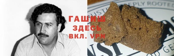 прущие грибы Вяземский