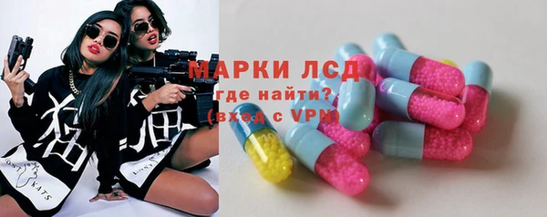 прущие грибы Вяземский