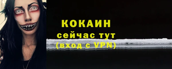 PSILOCYBIN Вязники