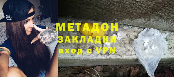 прущие грибы Вяземский