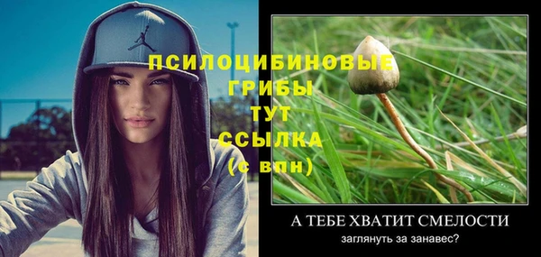 PSILOCYBIN Вязники