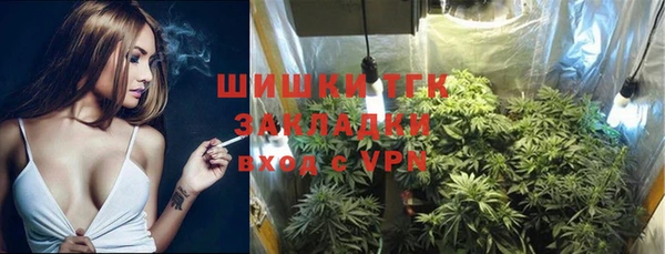 прущие грибы Вяземский