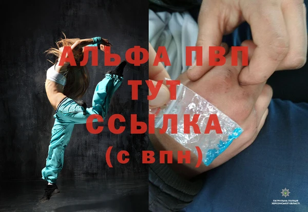 PSILOCYBIN Вязники