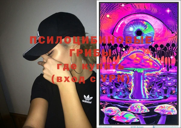 прущие грибы Вяземский