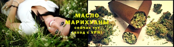 прущие грибы Вяземский