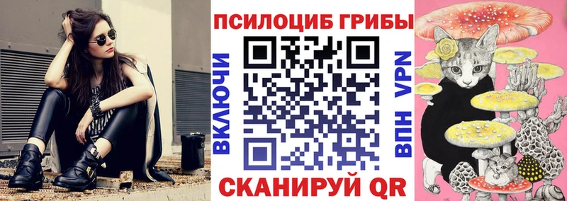 Псилоцибиновые грибы Cubensis  Купить где  Озёры 